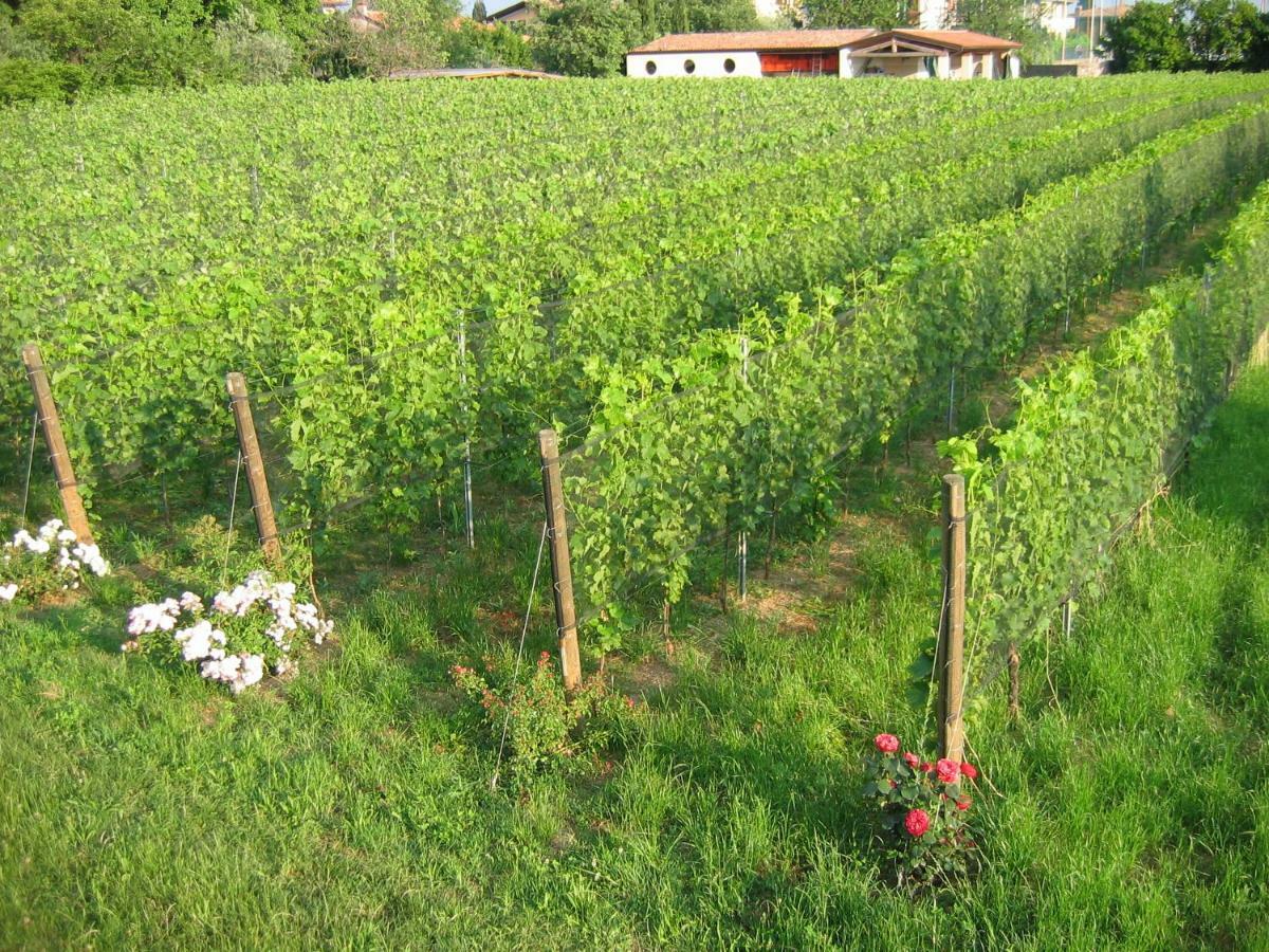 Agriturismo Le Chiusure 산펠리체델바나코 외부 사진